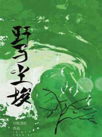 野马尘埃 野马尘埃