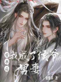 穿书后我成了侯爷男妻
